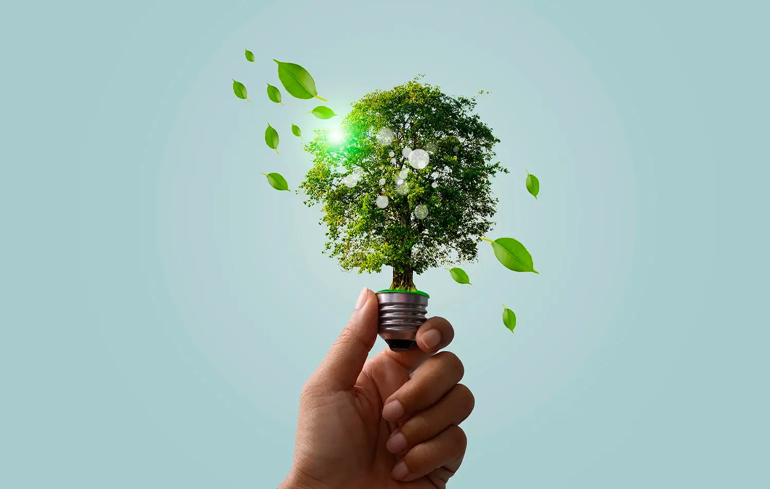 Hand holding up a lightbulb but its a tree